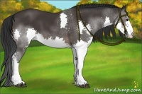 Horse Color:Brown Splash 