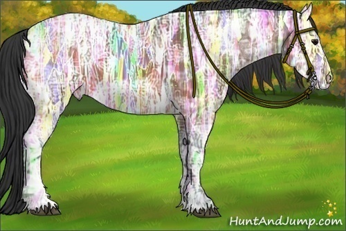 Horse Color:Bay Ice 