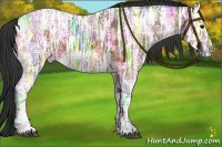 Horse Color:Bay Ice 