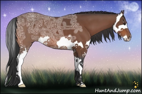 Horse Color:Bay Ice Splash 