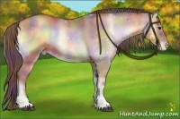 Horse Color:Nacre Bay Pearl Onyx Sabino 