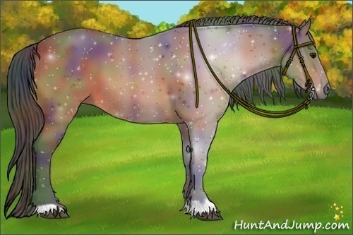 Horse Color:Nacre Bay 