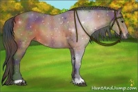 Horse Color:Nacre Bay