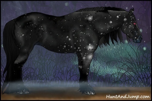 Horse Color:ERROR: UNKNOWN ANOMALY