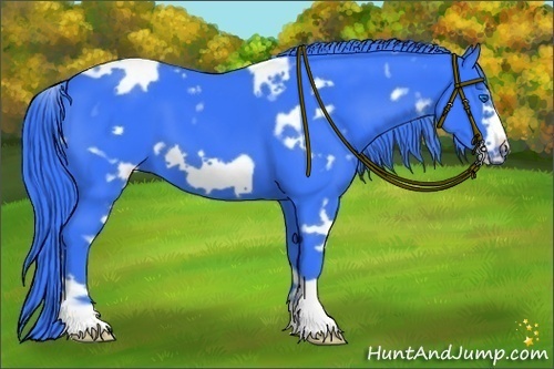 Horse Color:Watercolor White Spotted Black Frame 