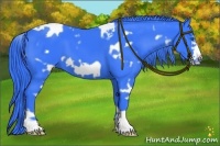 Horse Color:Watercolor White Spotted Black Frame