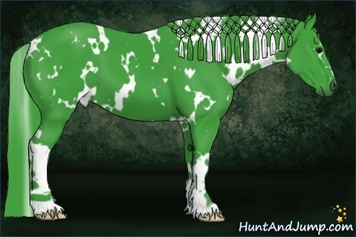 Horse Color:Watercolor White Spotted Black 