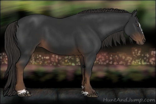 Horse Color:Liver Chestnut Sabino 