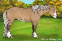 Horse Color:Silver Bay Dun Sabino