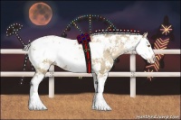 Horse Color:Silver Grullo Pearl Sabino 