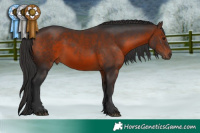 Horse Color:Brown Sabino