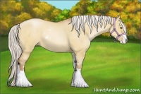 Horse Color:Silver Bay Pearl Dun Sabino Rabicano