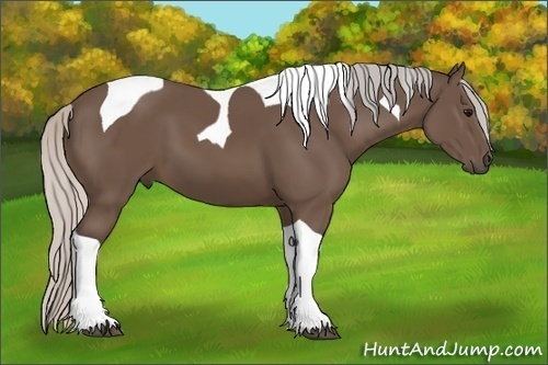 Horse Color:Silver Black Tobiano