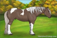 Horse Color:Silver Black Tobiano 