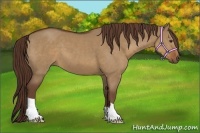 Horse Color:Liver Red Dun 