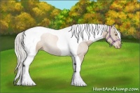 Horse Color:Silver Black Pearl Tobiano 