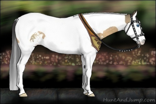 Horse Color:Buckskin Dun Sabino Splash Tobiano 