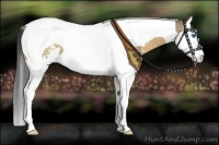 Horse Color:Buckskin Dun Sabino Splash Tobiano