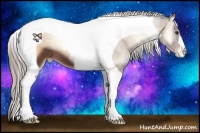 Horse Color:Liver Red Onyx Tobiano Appaloosa