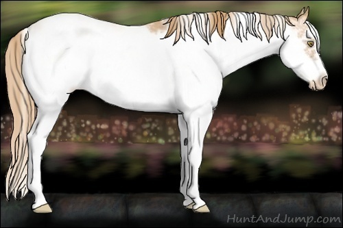 Horse Color:Chestnut Pearl Sabino Frame 