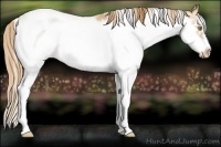 Horse Color:Chestnut Pearl Sabino Frame 