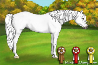 Horse Color:Gray Bay Sabino 