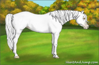 Horse Color:Gray Chestnut Pearl