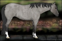 Horse Color:Smoky Grullo Roan 
