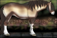 Horse Color:Liver Red Onyx 