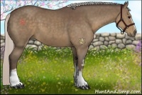 Horse Color:White Spotted Silver Black Rabicano