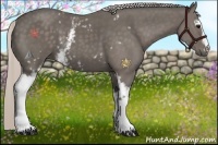 Horse Color:White Spotted Silver Black 