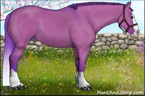 Horse Color:Watercolor Grullo Splash Rabicano 