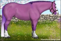 Horse Color:Watercolor Grullo Splash Rabicano 