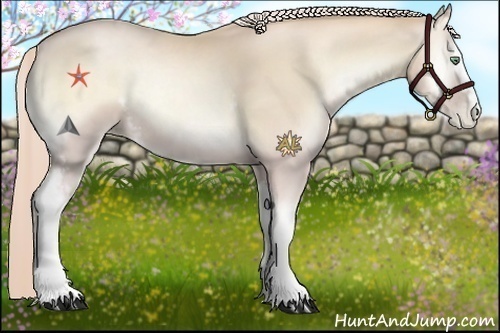 Horse Color:White Spotted Palomino Pearl Onyx 