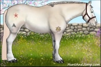 Horse Color:White Spotted Palomino Pearl Onyx 