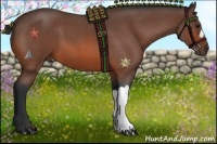 Horse Color:Bay Roan 