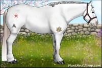 Horse Color:White Spotted Bay Varnish 
