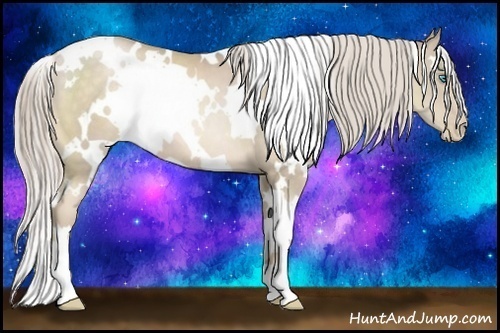 Horse Color:White Spotted Chocolate Palomino Pearl 