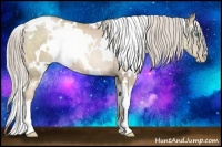 Horse Color:White Spotted Chocolate Palomino Pearl 