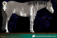 Horse Color:White Spotted Smoky Grullo Rabicano 