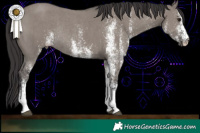 Horse Color:White Spotted Smoky Grullo Rabicano