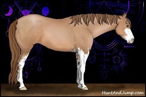 Horse Color:Brown Pearl Sabino 