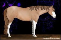 Horse Color:Brown Pearl Sabino 