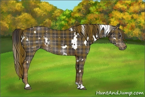 Horse Color:Plaid  White Spotted Liver Chestnut Rabicano 
