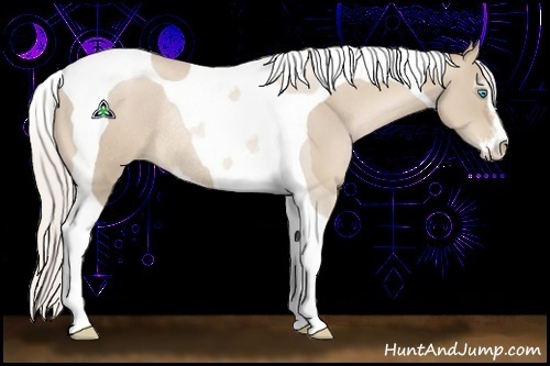 Horse Color:Silver Smoky Black Pearl Sabino Tobiano Rabicano