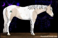 Horse Color:Silver Smoky Black Pearl Sabino Tobiano Rabicano 