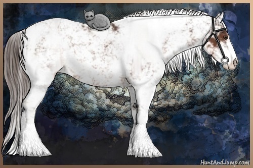 Horse Color:Liver Chestnut Sabino 