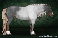 Horse Color:Liver Red Roan Sabino