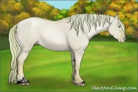 Horse Color:Watercolor Chocolate Palomino Pearl Dun Sabino 