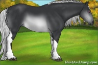 Horse Color:Silver Brown Chinchilla Tobiano